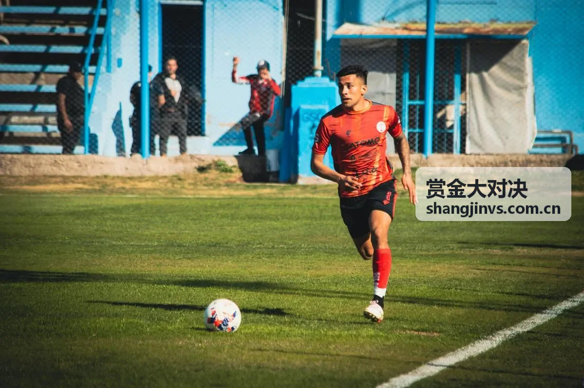 赏金大对决方案结果比较封面